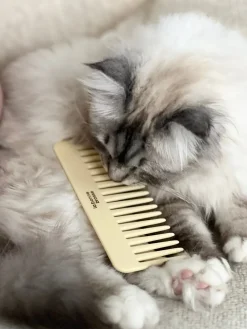 Le Peigne Large Démêlant en Acétate Ivoire Cair|La Bonne Brosse Sale