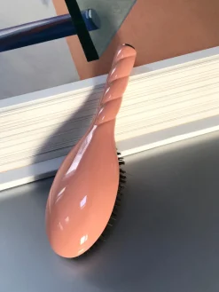 N.01 La Brosse Brillance & Soin L'UNIVERSELLE Corail|La Bonne Brosse Store