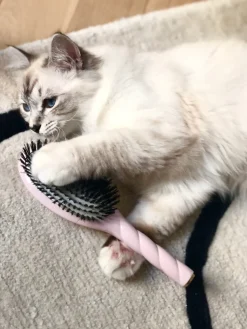 N.01 La Brosse Brillance & Soin L'UNIVERSELLE Rose Lilas|La Bonne Brosse Best Sale