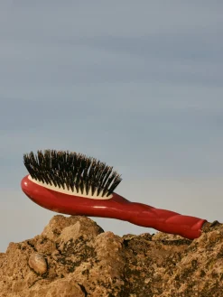 N.01 La Petite Brosse Brillance & Soin L’UNIVERSELLE Terre Battue|La Bonne Brosse Store