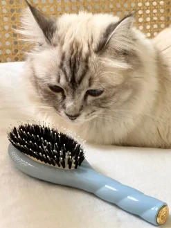 N.03 La Petite Brosse Cuir Chevelu Sensible L’INDISPENSABLE DOUCEUR Bleu Ciel|La Bonne Brosse New