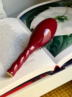 N.02 La Petite Brosse Démêlante & Soin L’INDISPENSABLE Rouge Cerise|La Bonne Brosse Fashion